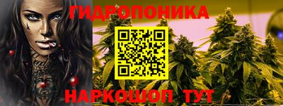 2c-b Лесосибирск
