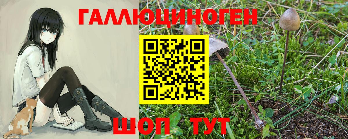 Галлюциногенные грибы прущие грибы  Вход с VPN  закладка  Егорьевск 